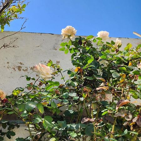 Duplex Bien Equipe Securise Avec Jardin Et Veranda ลาร์มาร์ซา ภายนอก รูปภาพ