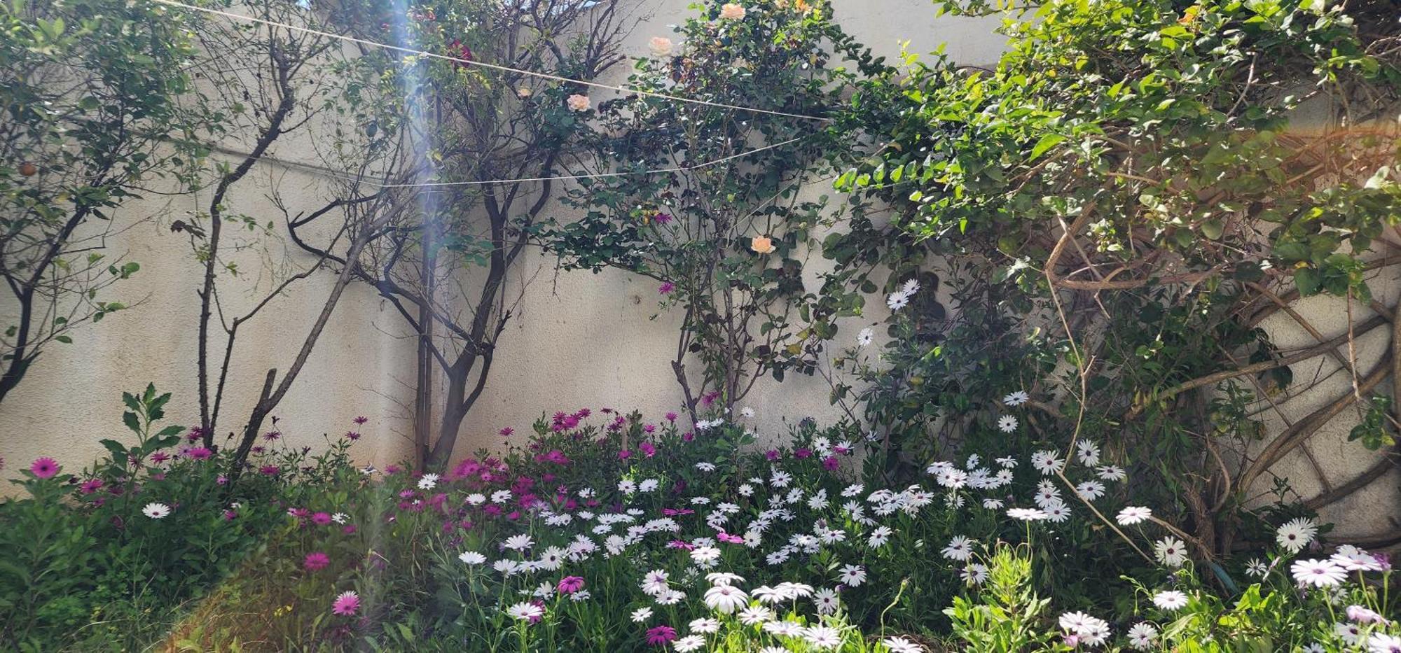 Duplex Bien Equipe Securise Avec Jardin Et Veranda ลาร์มาร์ซา ภายนอก รูปภาพ