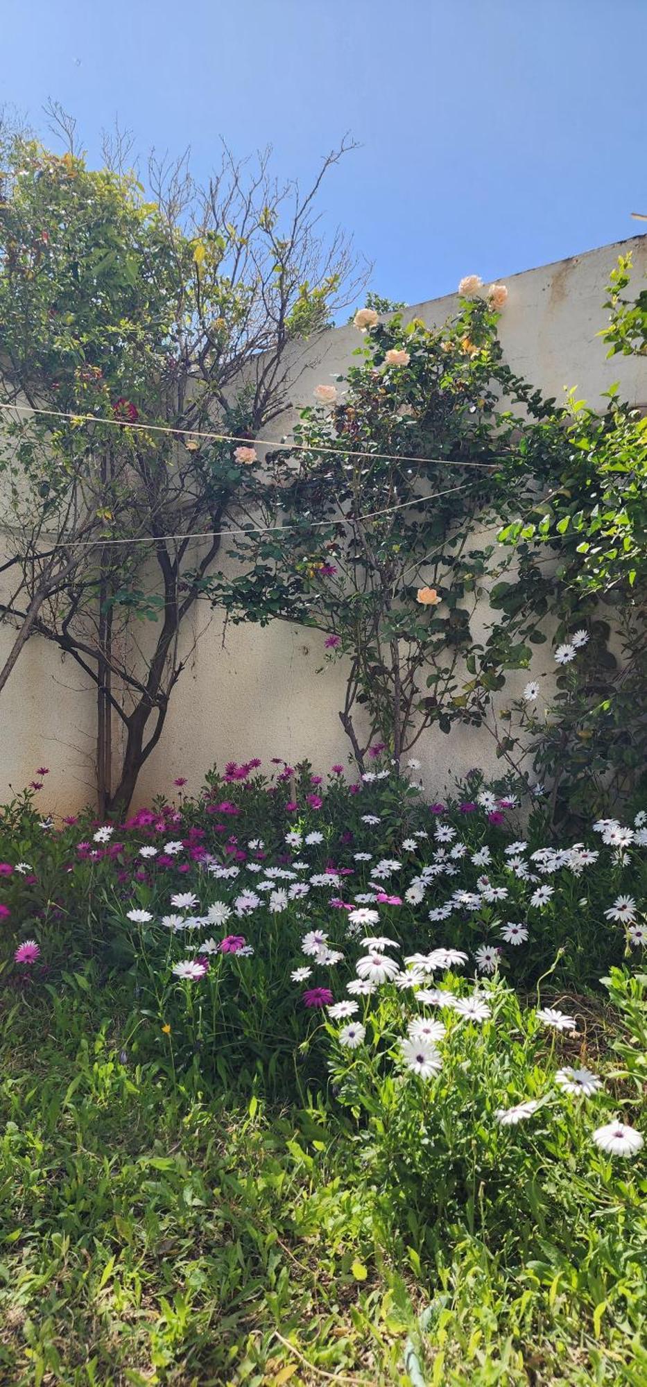 Duplex Bien Equipe Securise Avec Jardin Et Veranda ลาร์มาร์ซา ภายนอก รูปภาพ